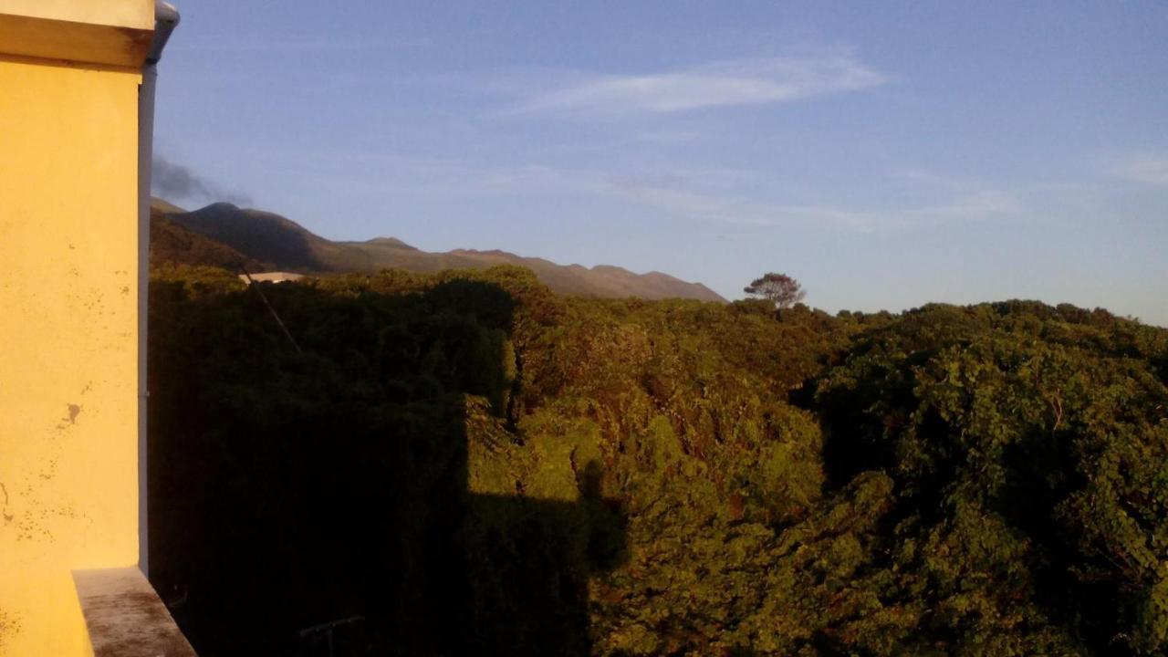 Апартаменты Quinta Dos Dragoeiros - Rral Nº3452 Queimada  Экстерьер фото